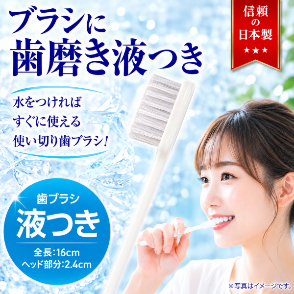 インスタント 歯ブラシ ハミガキ液付き 500本入