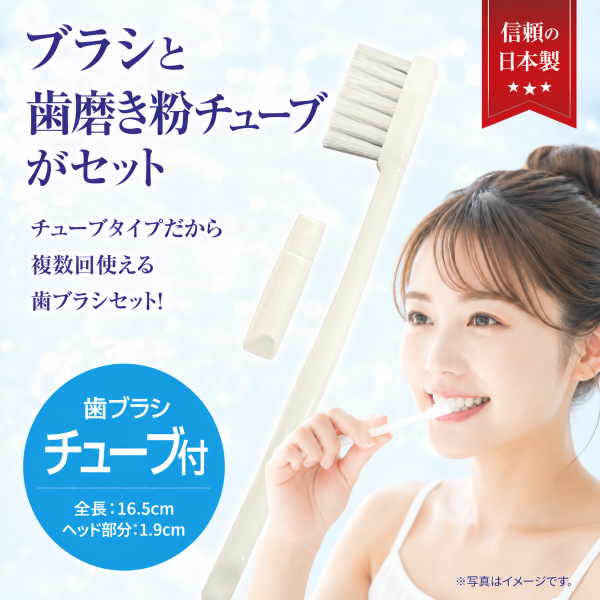 チューブ入りハミガキ粉付き ハブラシ 500本入