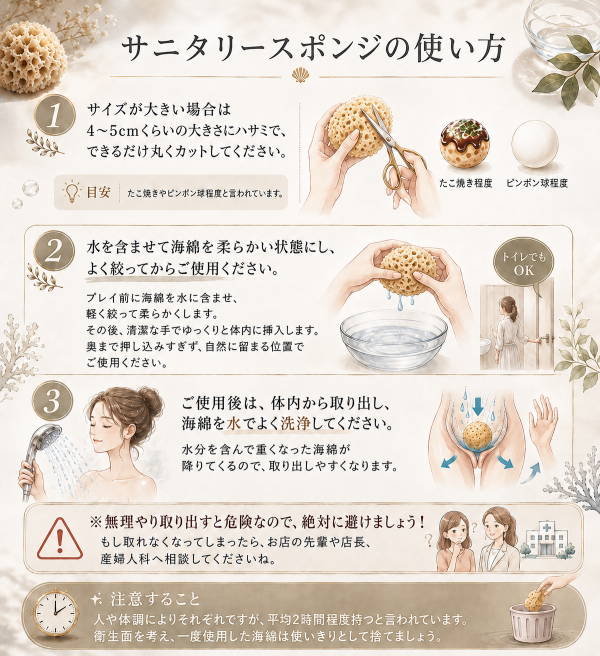 天然海綿 ウール種 10個入り