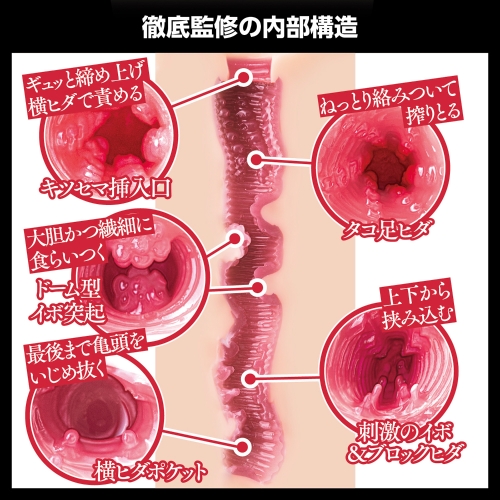 日本の名器 山岸あや花