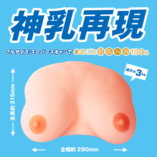 日本のおっぱい 君島みお