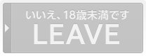 いいえ、18歳未満です